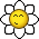 :flower: :flower: